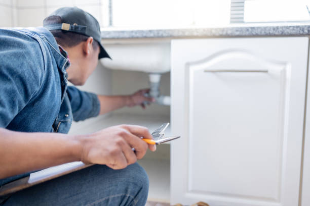 Best Emergency Plumber  in Meadview, AZ