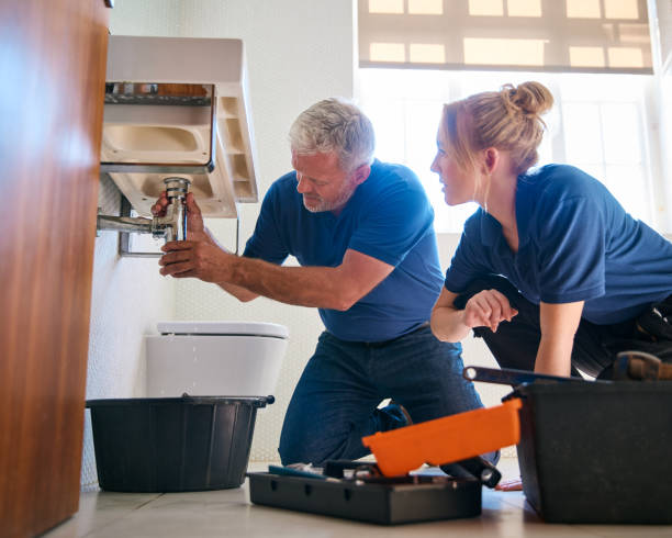 Best Toilet Repair Services  in Meadview, AZ